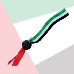 UAE Flag Ribbon Wristband TZ-NDP-06